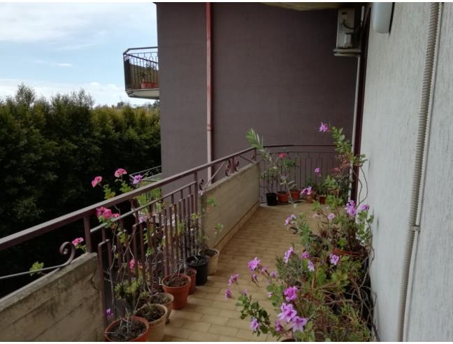 Anteprima foto 7 - Appartamento in Vendita a Aci Sant'Antonio (Catania)