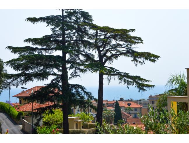 Anteprima foto 8 - Appartamento in Vendita a Alassio (Savona)