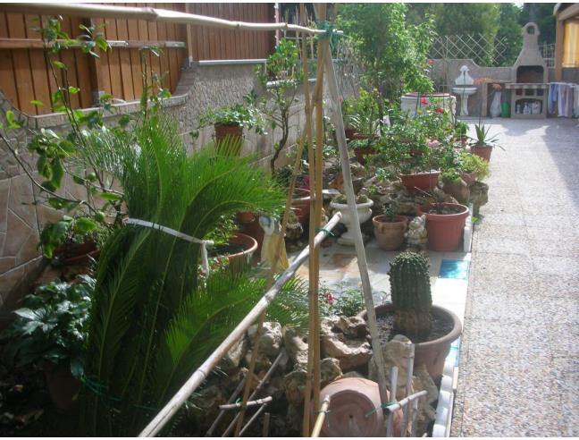 Anteprima foto 5 - Appartamento in Vendita a Alba Adriatica (Teramo)