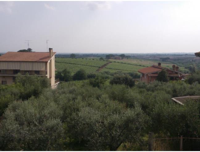 Anteprima foto 4 - Appartamento in Vendita a Albano Laziale - Cecchina