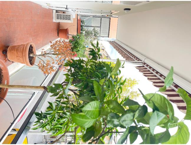 Anteprima foto 8 - Appartamento in Vendita a Albisola Superiore (Savona)