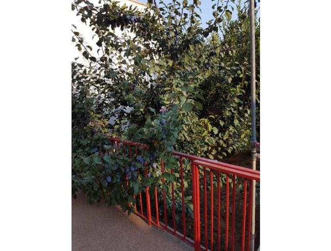 Anteprima foto 2 - Appartamento in Vendita a Alezio (Lecce)