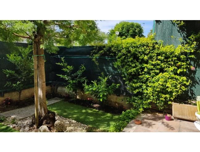 Anteprima foto 2 - Appartamento in Vendita a Ancona (Ancona)