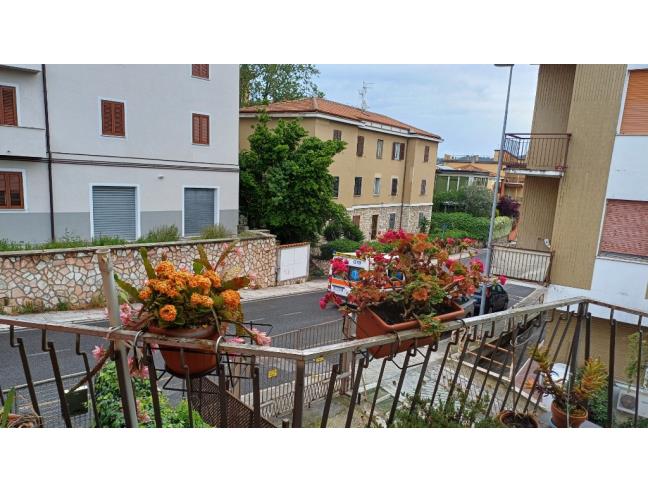 Anteprima foto 3 - Appartamento in Vendita a Ancona (Ancona)
