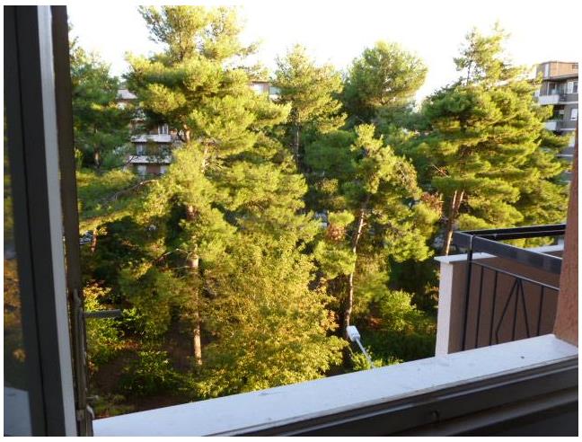 Anteprima foto 2 - Appartamento in Vendita a Ancona - Torrette