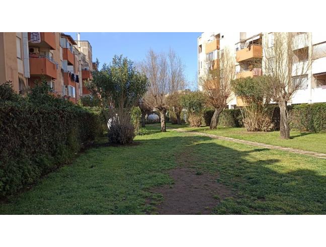 Anteprima foto 8 - Appartamento in Vendita a Anzio - Lavinio-Lido di Enea