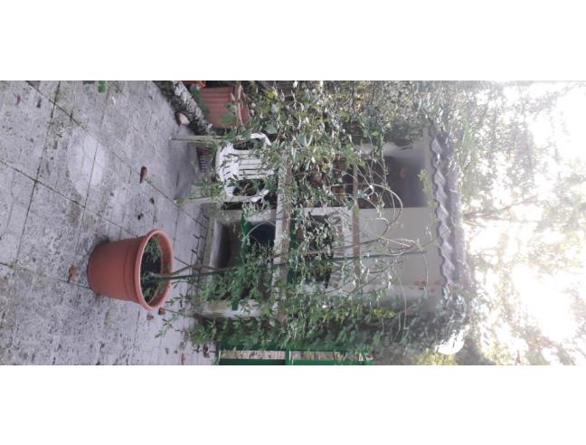 Anteprima foto 3 - Appartamento in Vendita a Arcinazzo Romano - Altipiani Di Arcinazzo