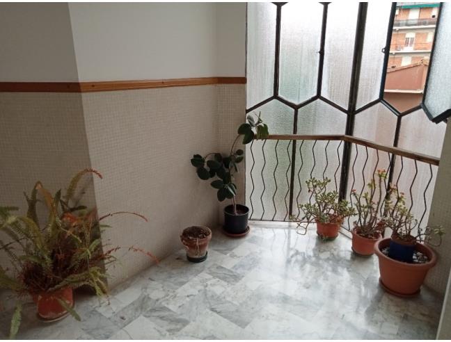 Anteprima foto 3 - Appartamento in Vendita a Arcola - Ponte Di Arcola