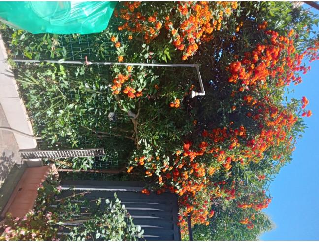 Anteprima foto 7 - Appartamento in Vendita a Ardea - Marina Di Tor San Lorenzo