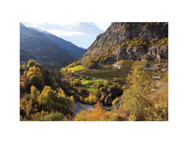 Anteprima foto 4 - Appartamento in Vendita a Arvier (Aosta)