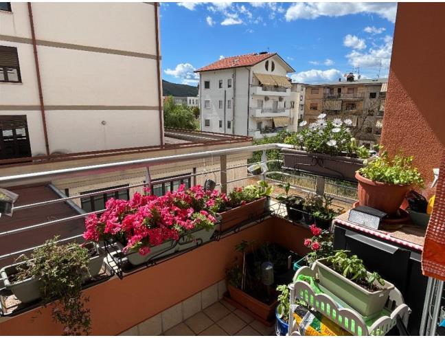 Anteprima foto 2 - Appartamento in Vendita a Avezzano (L'Aquila)