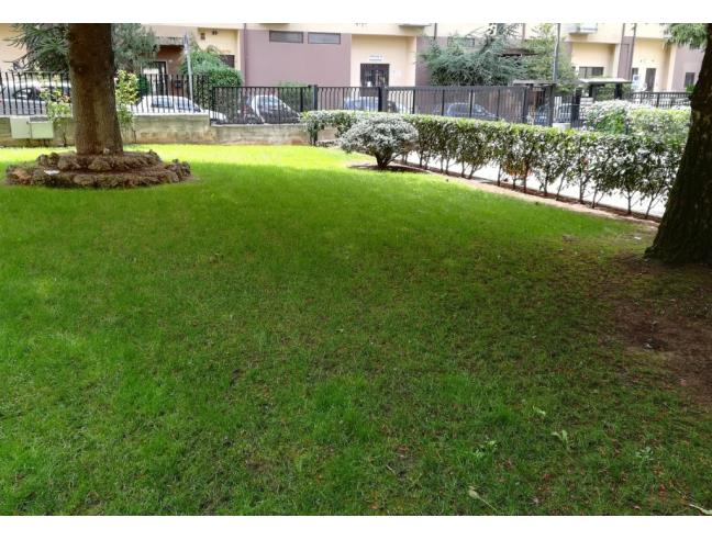 Anteprima foto 8 - Appartamento in Vendita a Avezzano (L'Aquila)
