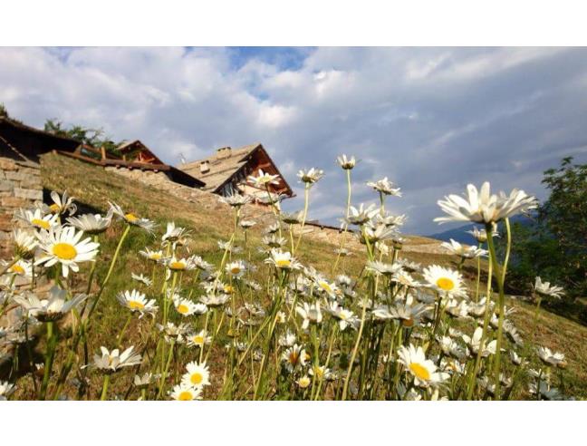 Anteprima foto 1 - Appartamento in Vendita a Bardonecchia (Torino)