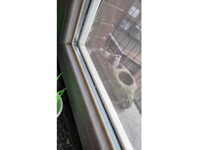 Anteprima foto 5 - Appartamento in Vendita a Beinasco (Torino)