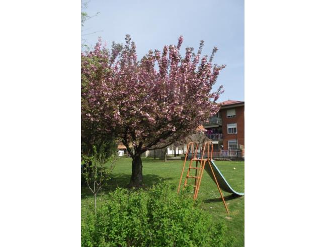 Anteprima foto 2 - Appartamento in Vendita a Bellinzago Novarese (Novara)