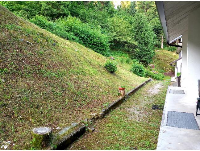 Anteprima foto 8 - Appartamento in Vendita a Belluno - Nevegal