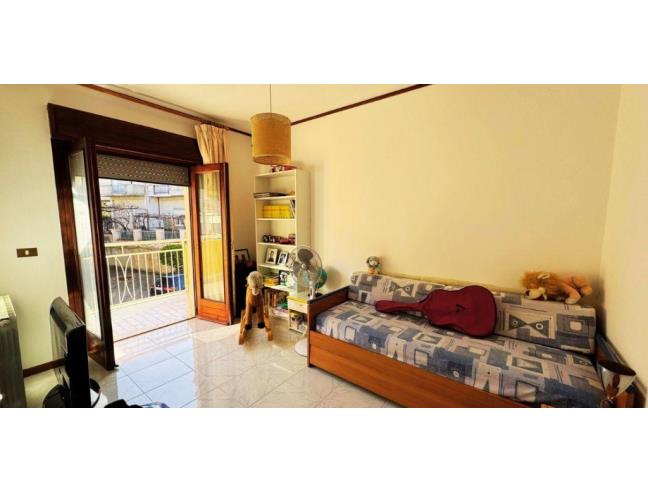 Anteprima foto 7 - Appartamento in Vendita a Belvedere Marittimo - Marina Di Belvedere