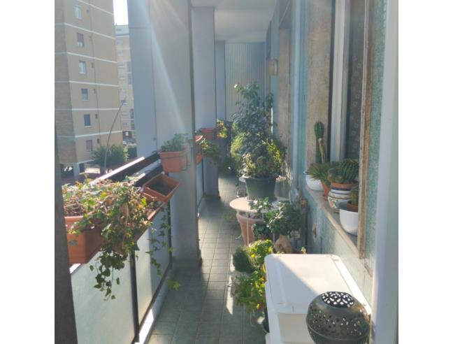 Anteprima foto 3 - Appartamento in Vendita a Bresso (Milano)