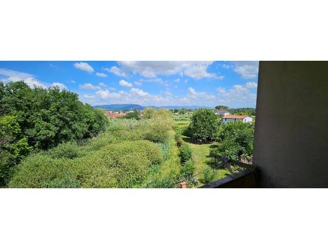 Anteprima foto 4 - Appartamento in Vendita a Buggiano - Borgo A Buggiano