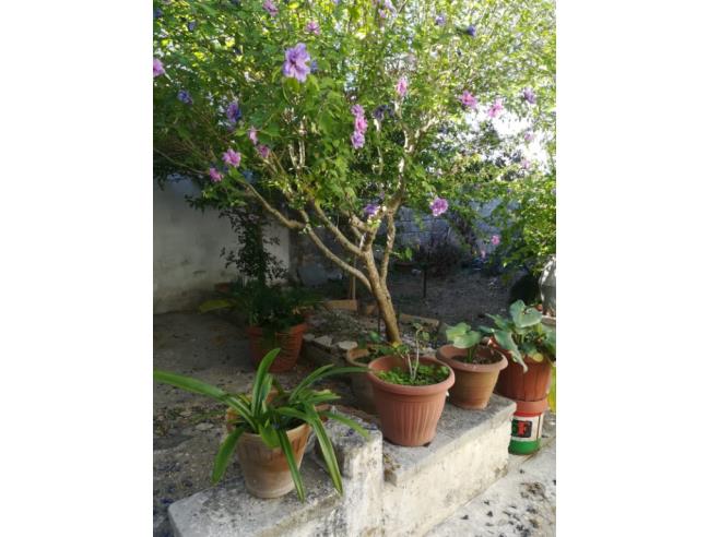 Anteprima foto 6 - Appartamento in Vendita a Calimera (Lecce)