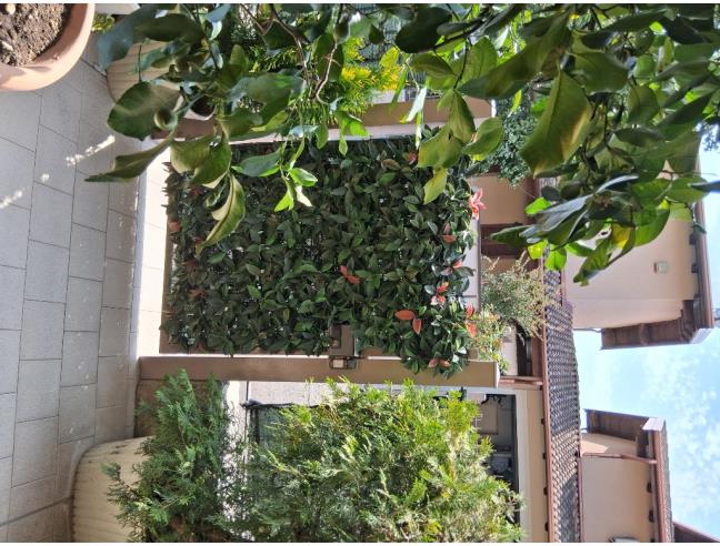 Anteprima foto 4 - Appartamento in Vendita a Calvenzano (Bergamo)