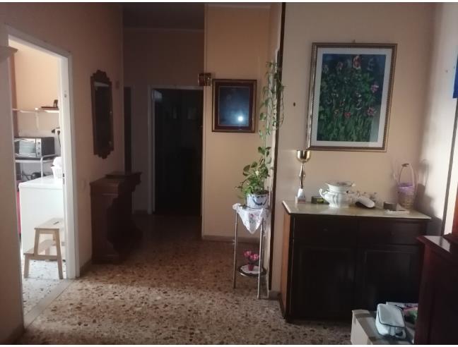 Anteprima foto 7 - Appartamento in Vendita a Campiglia Marittima (Livorno)