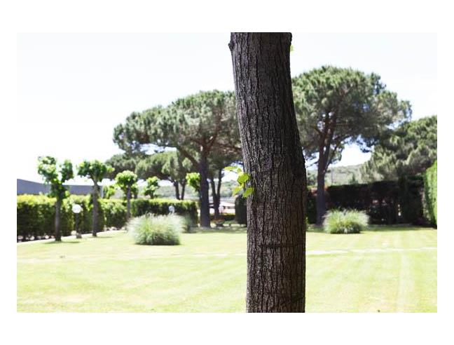 Anteprima foto 2 - Appartamento in Vendita a Campo nell'Elba - La Pila