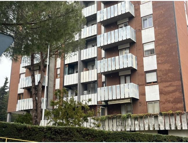 Anteprima foto 4 - Appartamento in Vendita a Campobasso - Mascione