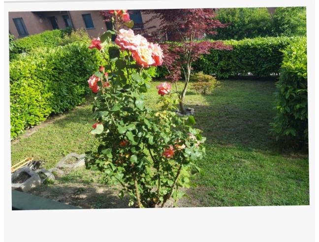 Anteprima foto 7 - Appartamento in Vendita a Caravate (Varese)