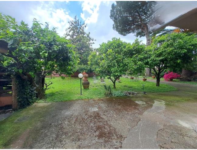 Anteprima foto 5 - Appartamento in Vendita a Carrara - Marina Di Carrara