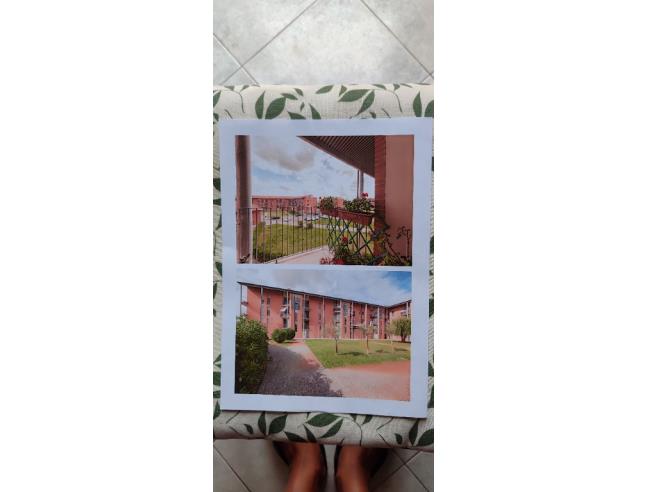 Anteprima foto 5 - Appartamento in Vendita a Cascina - San Frediano A Settimo