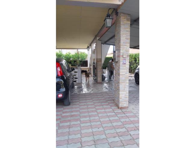 Anteprima foto 2 - Appartamento in Vendita a Castagneto Carducci (Livorno)