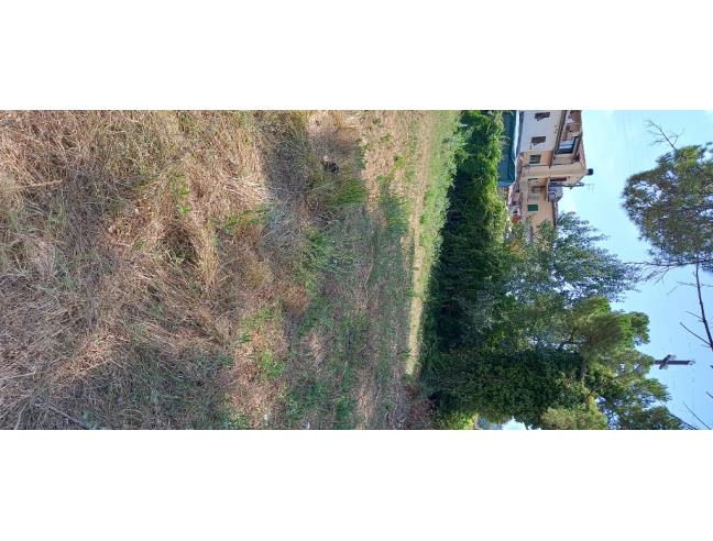 Anteprima foto 8 - Appartamento in Vendita a Castelfiorentino (Firenze)