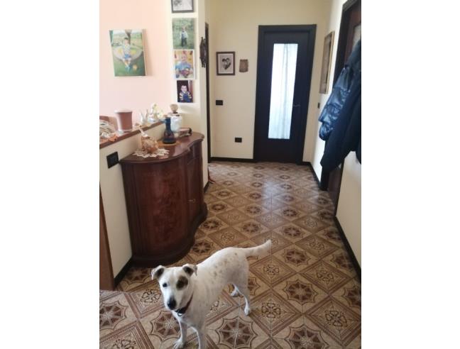 Anteprima foto 6 - Appartamento in Vendita a Castelli Calepio (Bergamo)