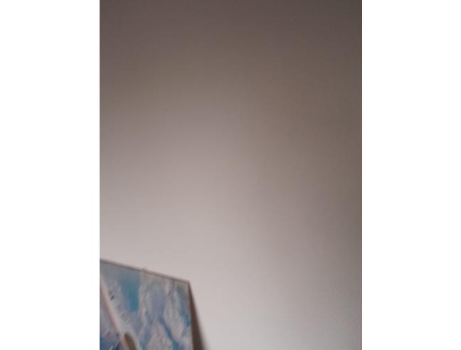 Anteprima foto 4 - Appartamento in Vendita a Castelnovo del Friuli - Paludea