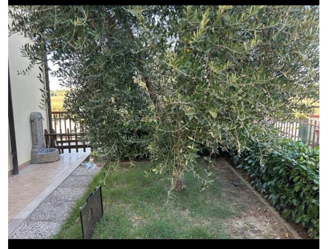 Anteprima foto 6 - Appartamento in Vendita a Castiglione del Lago (Perugia)