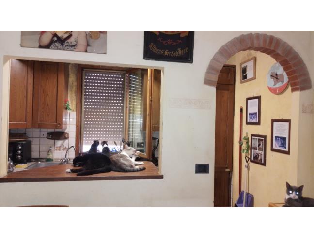 Anteprima foto 4 - Appartamento in Vendita a Cavriglia - Neri