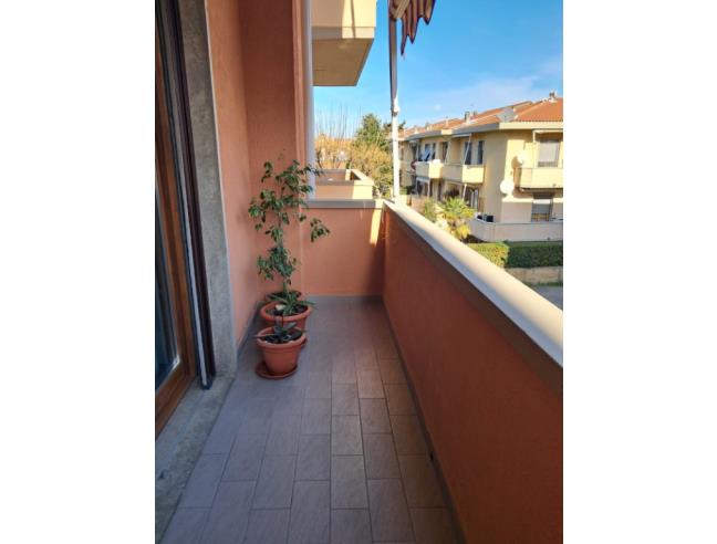 Anteprima foto 8 - Appartamento in Vendita a Cecina (Livorno)