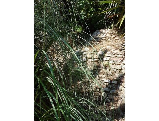 Anteprima foto 4 - Appartamento in Vendita a Cepagatti - Villanova