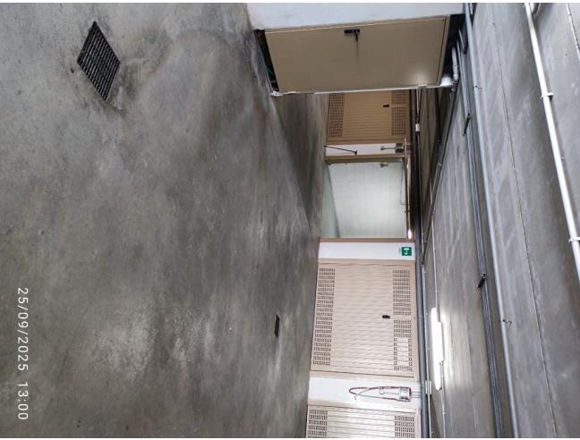 Anteprima foto 5 - Appartamento in Vendita a Ceriale (Savona)