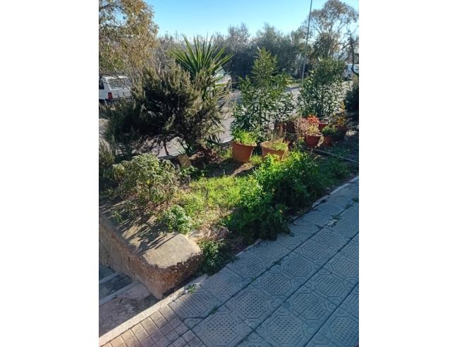 Anteprima foto 8 - Appartamento in Vendita a Cinigiano (Grosseto)