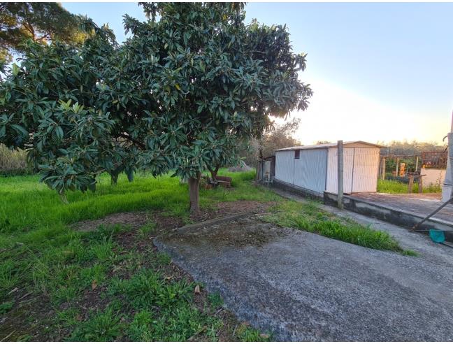 Anteprima foto 2 - Appartamento in Vendita a Cisterna di Latina (Latina)