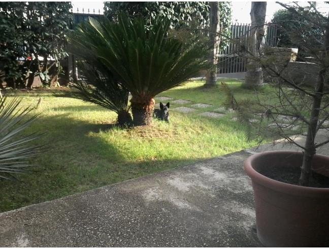 Anteprima foto 8 - Appartamento in Vendita a Cisterna di Latina - Olmobello