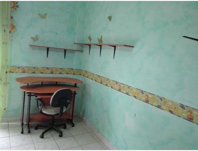 Anteprima foto 5 - Appartamento in Vendita a Civitella d'Agliano (Viterbo)