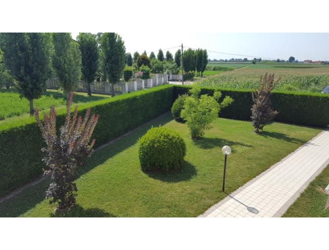 Anteprima foto 3 - Appartamento in Vendita a Codevigo - Zena Conche