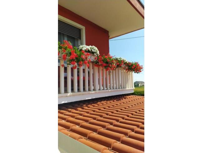 Anteprima foto 3 - Appartamento in Vendita a Corbola (Rovigo)