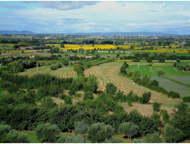 Anteprima foto 3 - Appartamento in Vendita a Cortona - Camucia