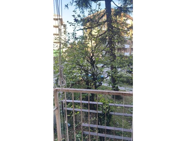 Anteprima foto 7 - Appartamento in Vendita a Cremona (Cremona)