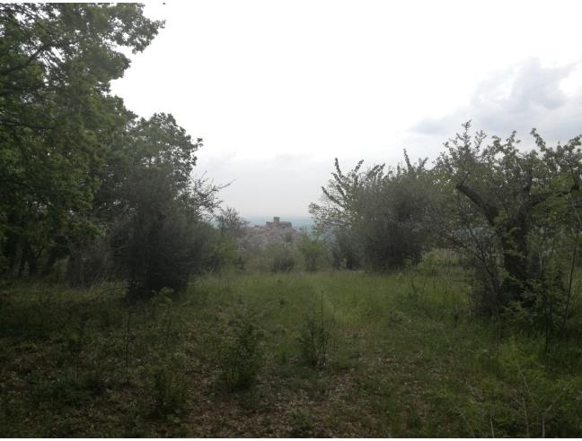 Anteprima foto 5 - Appartamento in Vendita a Deliceto (Foggia)