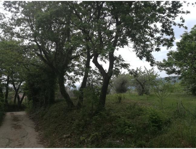 Anteprima foto 6 - Appartamento in Vendita a Deliceto (Foggia)